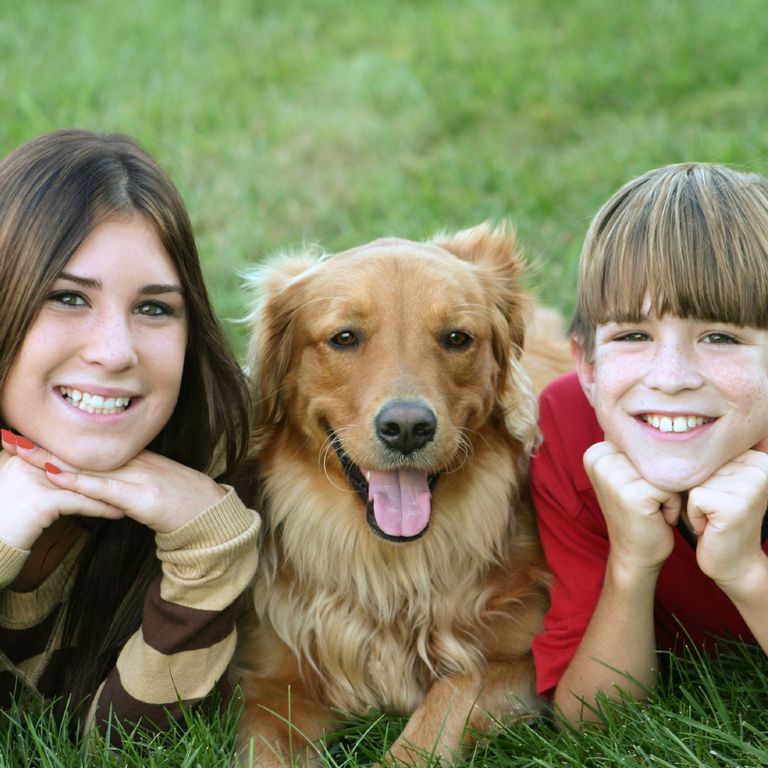 MEDIATION PAR L'ANIMAL TOUT PUBLIC